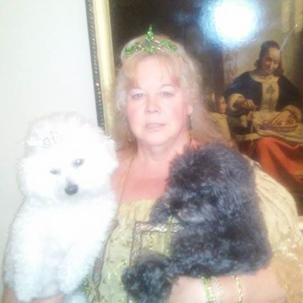Meet your Posher, Lynn